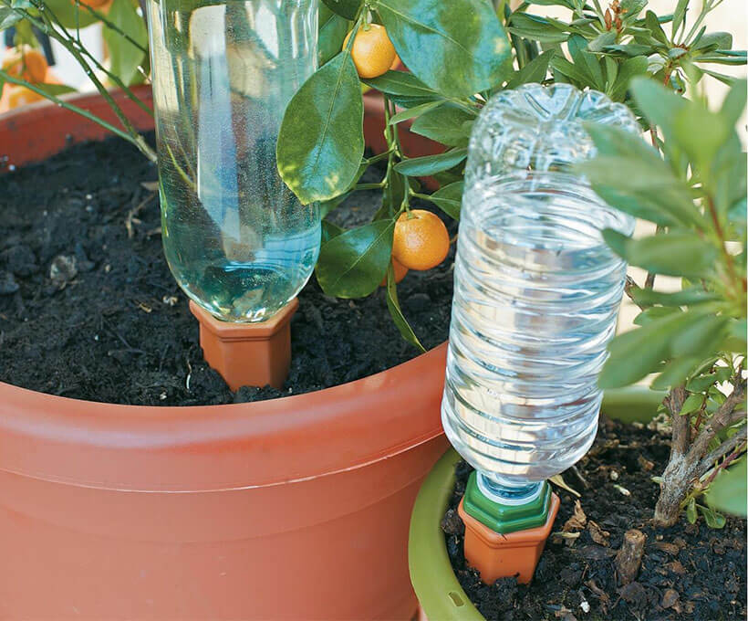 Ceramic Plant Waterer Set of 6 Pack Terracotta Self Watering Spikes