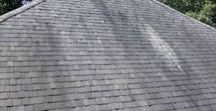 Can Wet and Forget be used on roof shingles?
