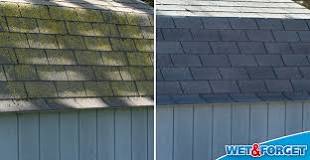 Does Wet and Forget damage roof shingles?