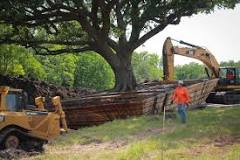 Can you transplant a 100 year old oak tree?