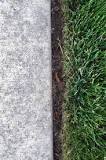 How deep should you edge your lawn?
