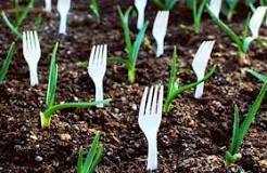 Why do people put plastic forks in the ground?