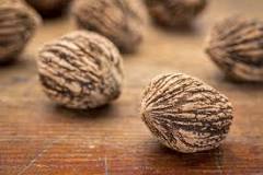 Can you eat black walnuts off the tree?