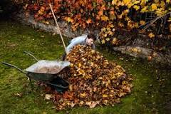 Can you make money raking leaves?