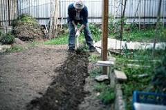 Can you till a garden with a cultivator?