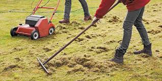 Can I power rake wet grass?