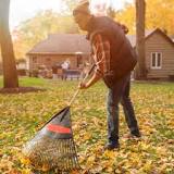 Why you shouldn’t rake the leaves on your lawn?