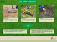 Does raking your lawn help it grow?