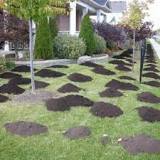 How do you fix a bumpy uneven lawn?