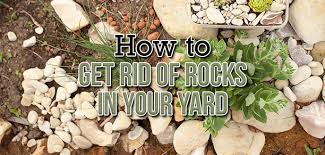 How do you rake gravel out of dirt?