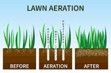 Is a lawn aerator the same as a dethatcher?