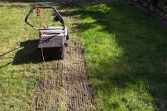 Is dethatching a lawn worth it?