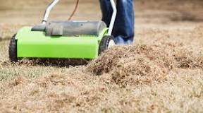 Is dethatching good for weeds?