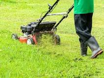 Is it good to mow your lawn without catcher?