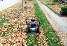Is mowing leaves better than raking?