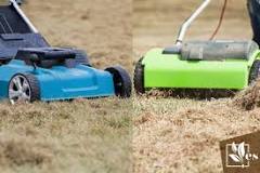 Is scarifying better than dethatching?