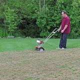 When should you not dethatch your lawn?