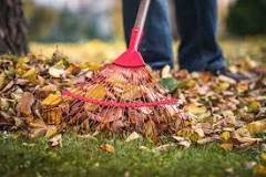 What can I use instead of a rake?