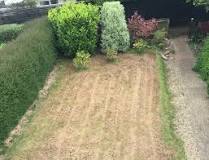 What does a lawn look like after scarifying?