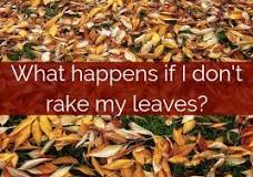 Why is raking leaves bad for the environment?