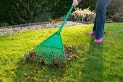 Should you rake leaves under bushes?