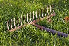 What is a metal rake called?