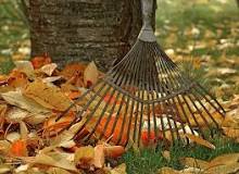 How do you get rid of leaves without raking them?
