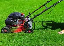 What is the fastest way to clean up your yard?