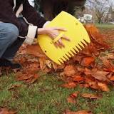 What is the fastest way to pick up leaves?