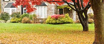 What is the easiest way to remove leaves from a yard?