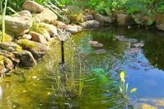 How do I control weeds in my pond naturally?