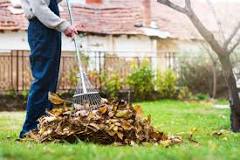 What kind of rake do you use for leaves?