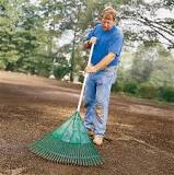 What kind of rake should I use for grass seed?