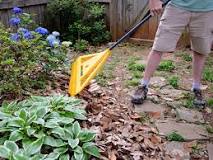 Should I rake leaves under shrubs?