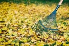 Which is better a metal rake or a plastic rake?