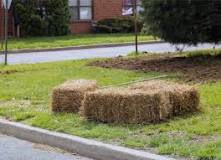 Why do people put pine straw around their house?